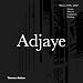 David Adjaye - Works 1995-2007: Houses, Pavilions, Installations, Buildings