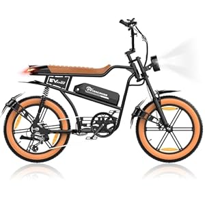 EVERCROSS EK30 Elektrische Fiets voor Volwassenen, 20 inch x 4.0 Dikke Banden, Maximale Snelheid 25 km/u, Actieradius 55 km, 48V 15AH Verwisselbare Batterij, 7 Versnellingen, Sneeuw- en Mountainbike