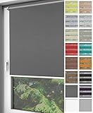 [page_title]-Home-Vision® Verdunkelungsrollo Klemmfix, ohne Bohren mit Klämmträgern, Fensterrollo, Seitenzugrollo, Verdunklungsrollo, Lichtundurchlässig Thermorollo (Graphit, B125cm x H150cm)
