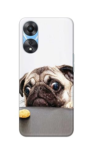 Image of PRINTFIDAA� Printed Hard Back Cover Case for Oppo A78 5G Back Cover (Pug Dog) -2808