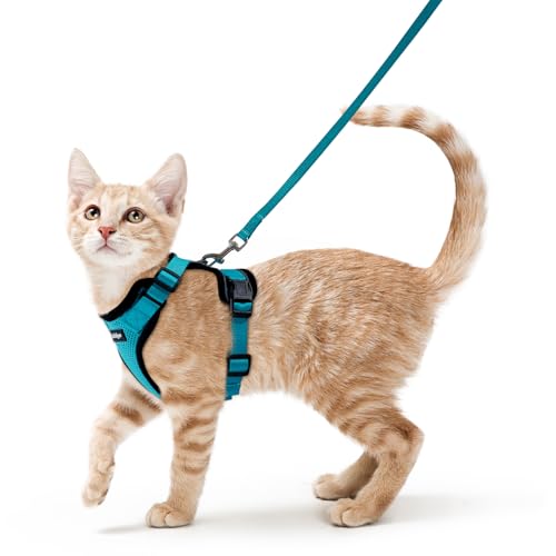 rabbitgoo Pettorina Gatto Antifuga con Guinzaglio, Guinzaglio per Gatti Regolabile, Pettorina Cane Taglia Piccola Riflettente, Imbracatura Gatto Adulto in Maglia Traspirante, Blu Pavone, XS