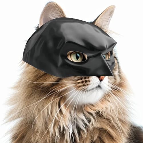 Masque Batman Chat Noir Masque Chauve-Souris Tendance Halloween