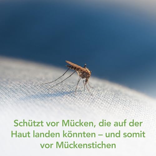 Raid Essentials Mückenschutz Raumschutz-Spray, natürlicher Schutz mit pflanzlichen Wirkstoffen, geruchsneutral, bis zu 4 Stunden wirksam, 300 ml Sprayflasche