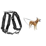 PetSafe