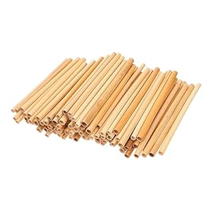 Togeval 100 Stück Bienen-Niströhren Set