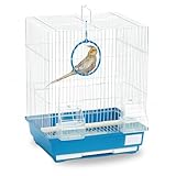 MOLY Jaula para Pájaros 39 X 30 X 23 cm Azul | Pajarera Plegable y Desmontable Canarios, Periquitos y Aves Pequeñas | 2 Comederos + 2 Palos para Posarse + Columpio | Fácil Limpieza y Transporte