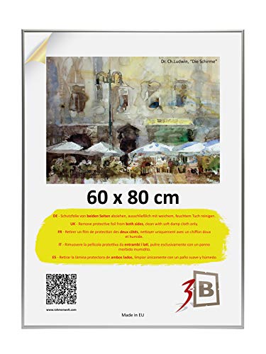 3-B Alu Poster Brushed - Großer Bilderrahmen - mit Polyesterglas und Schutzverpackung - Silber matt - 60x80 cm