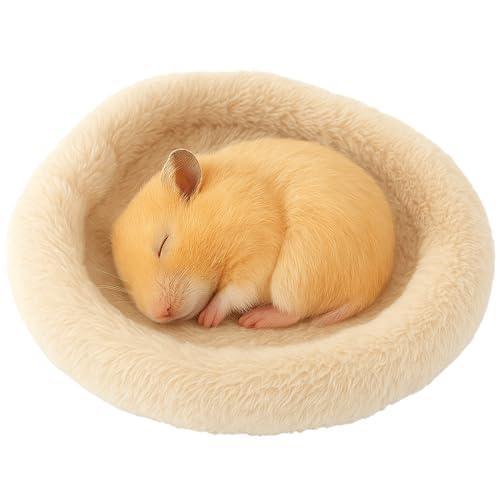 moin moin nX^[  CR X tNK ybg  nEX xbh   Q B  NbV x[W ӂӂ  a 14cm M^  ~j g h ʔN t H~ ₦ ΍ ʂ