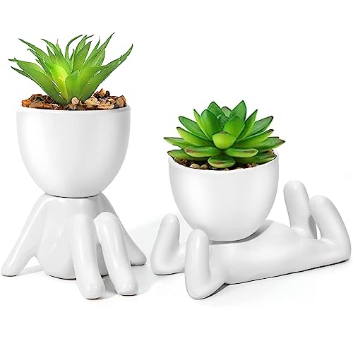 home best plants succulents for dorm rooms