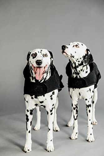 Kentucky - Hundemantel - Schwarz - Dackel - 40cm