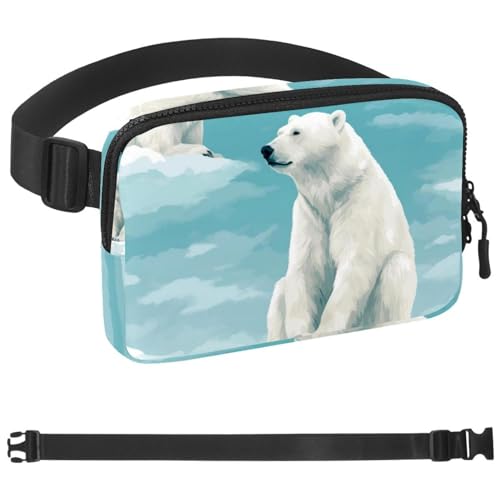 Ceinture de course à pied et voyage pour passeport téléphone et argent