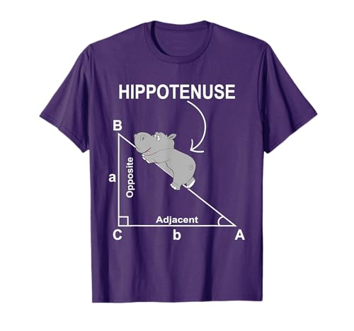 Nerd Geometry Hippotenuse Hypotenuse Funny t-shirt T-Shirt