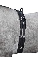 HKM 12701 Longiergurt Canvas, Fester Doppelgriff Longierbedarf Schwarz Pony, 1 Stück (1er Pack)
