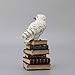 Veronese Design 5 1/2 Inch Magic Wand Snowy Owl On Book Stack Hand Painted Resin Statue Home Decor