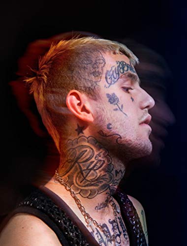 HandTao Lil Peep Music Star Fabric Cloth Wall Poster Photo Print 17x13 Inch