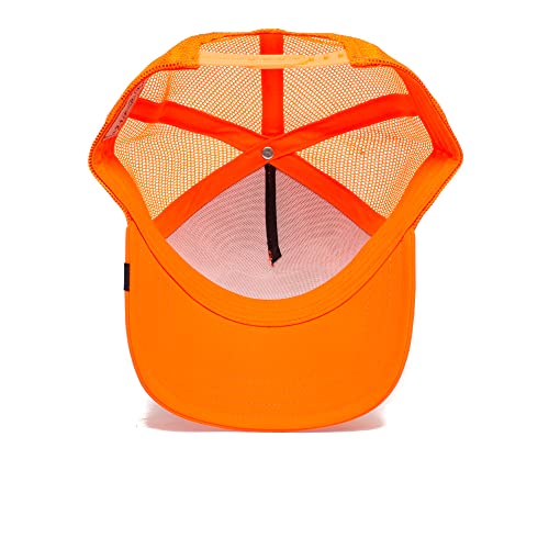 Image of Goorin Bros. Women's Foxy Baby Baseball Hat