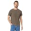 Ptc Stripe/Mushroom