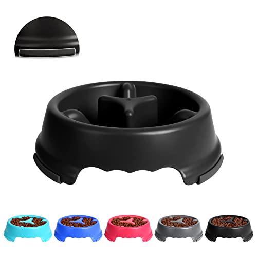 Top 10 Best Puzzle Dog Bowl Top Picks 2023 Reviews