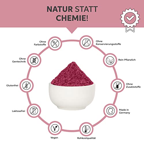 Acai Pulver 200g in Rohkost-Qualität | 100% rein ohne Zusatzstoffe und Vegan | Acaibeeren Pulver ideal für Bowl Smoothie Müsli Saft Sorbet