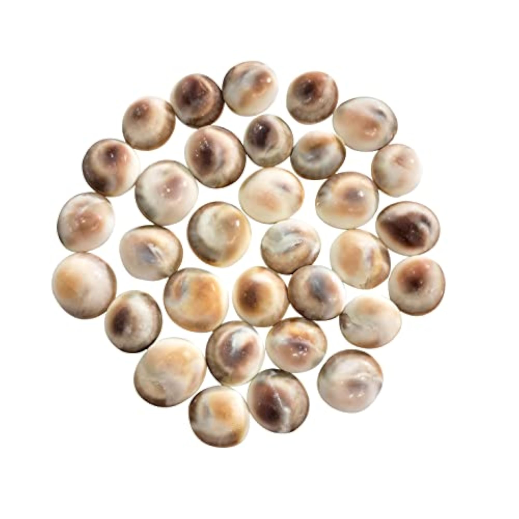 11 Pieces Gomati Chakra Natural Stone Set