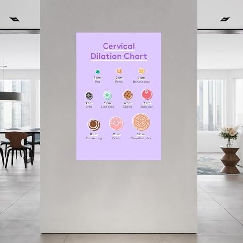 Poster de dilatation cervicale pour cours de préparation naissance