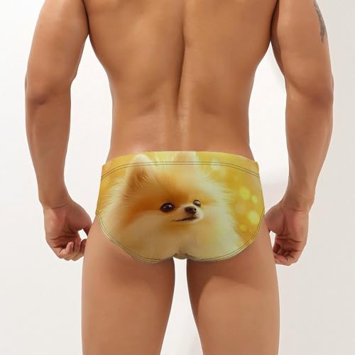 Cute Fluffy Pomeranian Men's Swim Trunks Briefs Swimsuit Swimwear Bathing for Underwear Beach2