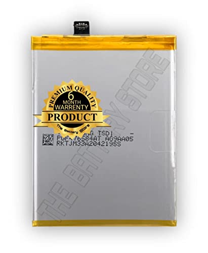 Image of THE BATTERY STORE Orignal Battery (B-H0) for Vivo S1 / Vivo V17 Neo /Vivo V1913 Battery with 6 Month's Warranty and Full Battery Backup (for VIVO B-H0)