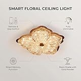 duowelly B0GF1ZFGSH lato 2