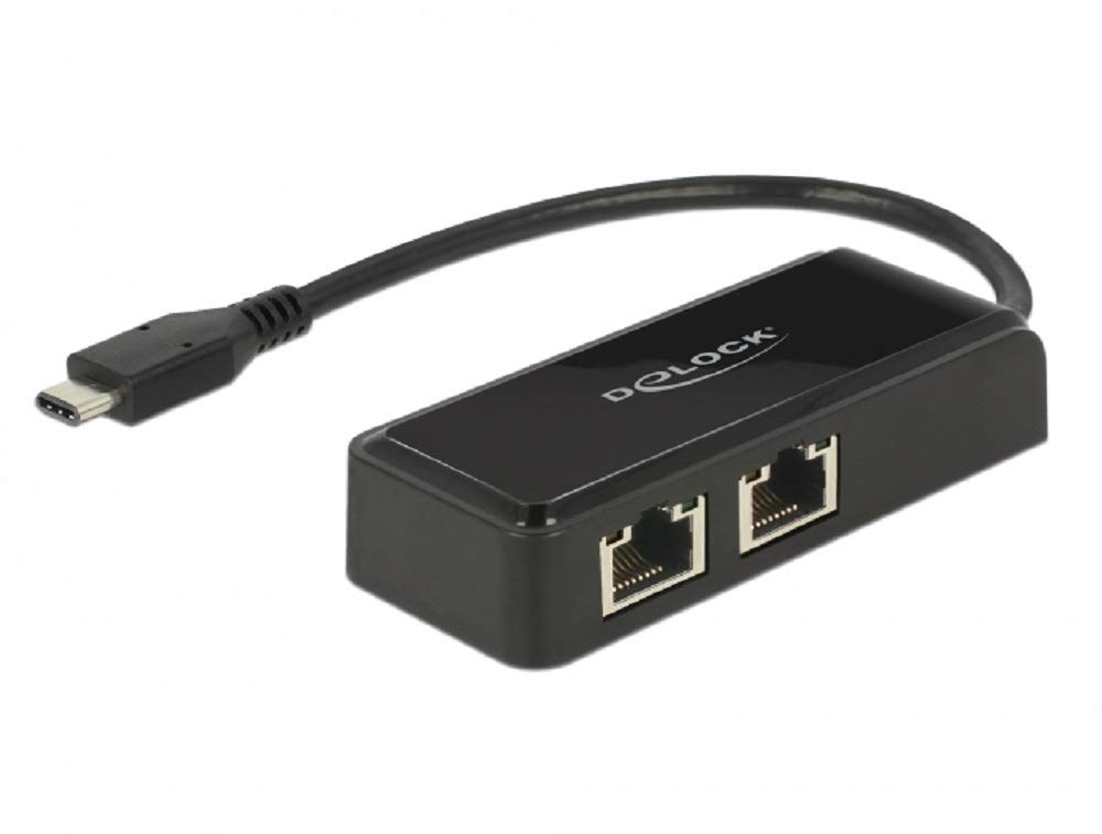 DeLock Adaptador USB 3.0 Tipo C a 2 Puertos Gigabit LAN RJ45.