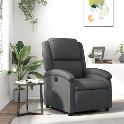 Fauteuil inclinable gris Générique Cover