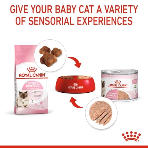 Royal Canin Mother & Babycat Mousse | 12 x 195 g | Alleinfuttermittel für Katzen | Speziell für die Mutterkatze und ihre Welpen | Zur Unterstützung der körpereigenen Abwehrkräfte