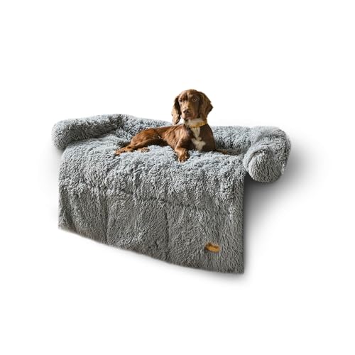 Is it safe for dogs to sleep on their back