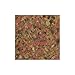 TetraMin Nutritionally Balanced Tropical Flake Food for Tropical Fish, 2.2 oz