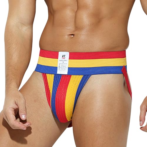 Mens Rainbow Briefs Sissy Thongs Underwear Sxey Jockstraps