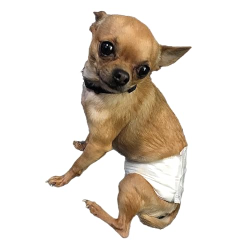 XS Extra Small Dog Diapers All-Absorb A27 Disposable Male Dog Wrap 48 Count, Extra Small, Super Absorbent, Breathable