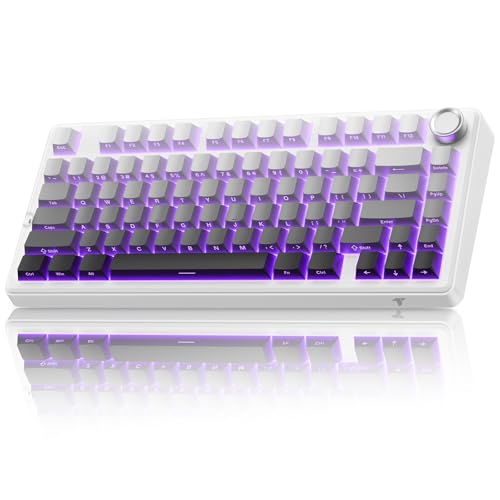 TECURS 75% Mechanical Keyboard for Gaming & Off...