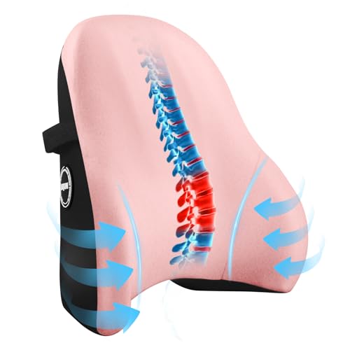 LIQUN Memory Foam Lumbar Support Pillow (Pink)