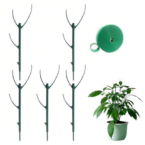supporto per piante,bastone per piante,palo per piante rampicanti,regolabili per piante di Monstera,pali per piantes rampicanti in vaso,Pothos,viti,fiori.