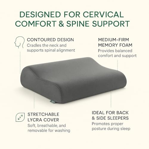 Image of The White Willow Standard Cervical Memory Foam Pillow - Orthopedic Neck & Shoulder Pain Relief, Spondylitis Support, Contour Medical Pillow for Sleeping, Slate Charcoal Grey