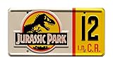 Las dimensiones estándar USA placa (12" x 6" )
