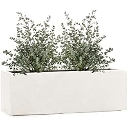 Maceteros De Fibra De Vidrio Pflanzwerk® Maceta Fibra de Vidrio Tub Arena 17x50x17cm *Resistente a Las heladas* *Protección UV* *Calidad Europeo*