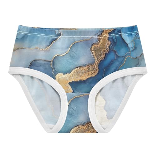 Underwear All Seasons Panties Briefs Underwear for Toddler in Sizes 2T,3T, 4T, 5T, 6Y and 8Y - Main Image