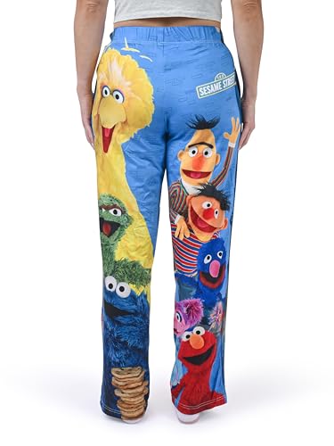 Image of BRIEF INSANITY Sesame Street Character Pajama Pants for Men & Women - Soft Loose-Fit Lounge Bottoms with Side Pockets