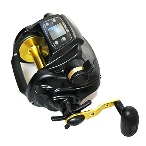 Daiwa Tanacom 1000 E elektrische Multirolle für Angler