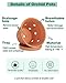 vensovo 8 Inch Terracotta Orchid Pots with Holes and Saucers, 2 Pack Large Clay Planters for Repotting, Terra Cotta Pots for Indoor & Outdoor Plants, Promotes Air Circulation