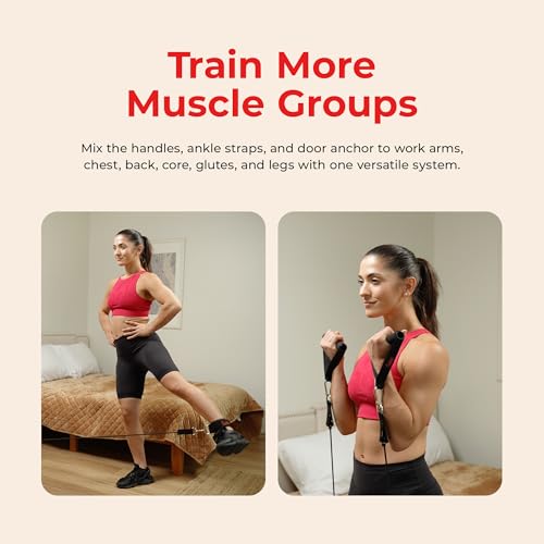 Image of Sunny Health & Fitness Premium Resistance Band Set with Door Anchors, Wrist Straps, Handles Carry Bag Optional Padded Ankle Straps (Pair) for Strength Training, Booty Workout, Lower Body Exercises