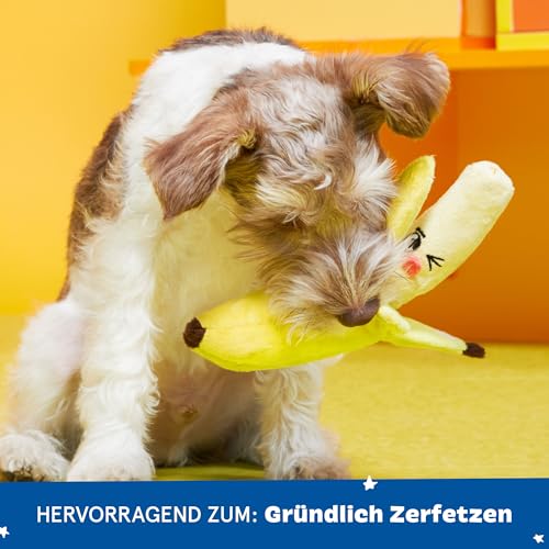 Barkbox 2 in 1 Interaktives Plüsch-Hundespielzeug – Rip and Reveal Hundespielzeug für kleine Hunde – Stimulierende quietschende Haustieranreicherung und Welpenspielzeug | Bananen (klein)