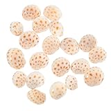 EPIGEIST 20 Piezas Conchas de Caracol Pequeñas (1-2 Cm) para Decoración Creativa de Acuarios y Manualidades, Caracolas Decorativas Naturales para Adornos de Escritorio y Peceras