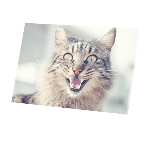 Tableau Chat Brun Tigré Toile Imprimée pour Déco Salon et Chambre Enfant