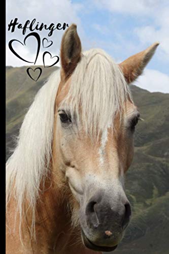 Haflinger Horse Notebook For Horse Lovers: Composition Notebook 6x9" Blank Lined Journal